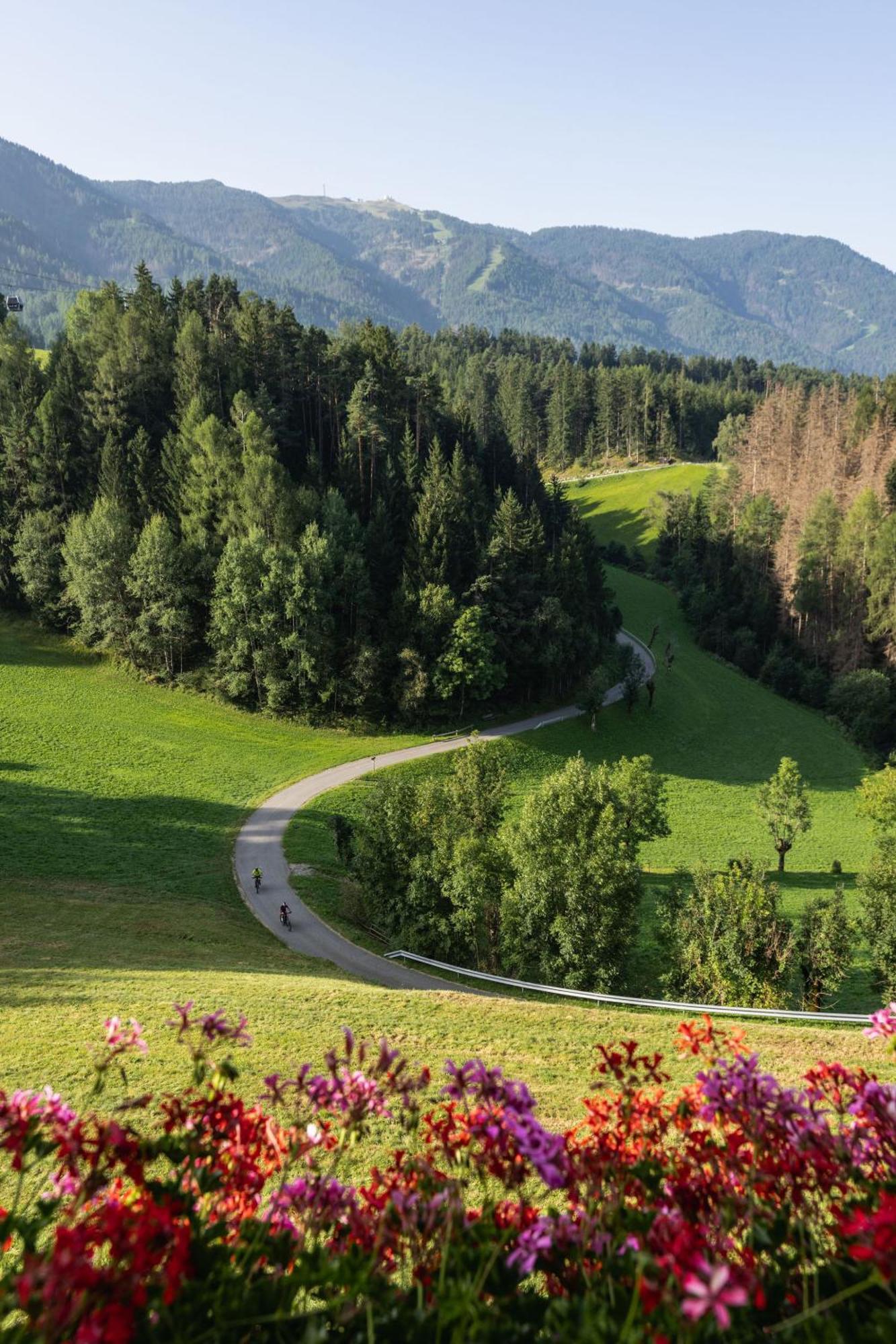 Апартаменти App Mittermairhof Рісконе Екстер'єр фото